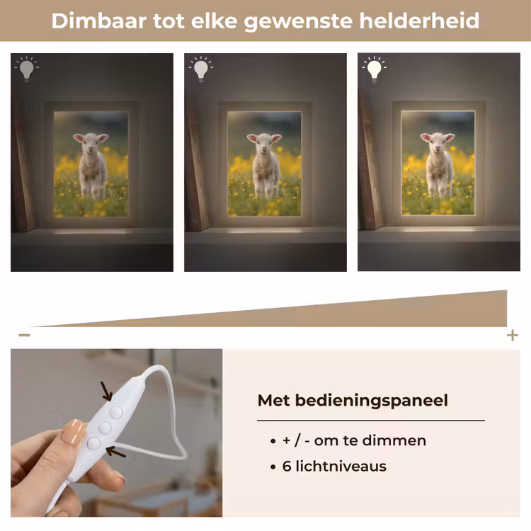 Lammetje - Gras - Bloemen - Geel Light Box met kabel klein -USP_dimbaarNL