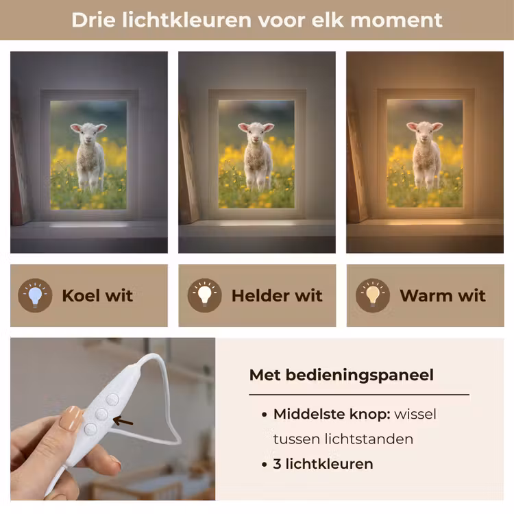 Lammetje - Gras - Bloemen - Geel Light Box met kabel klein -USP_lichtkleurNL