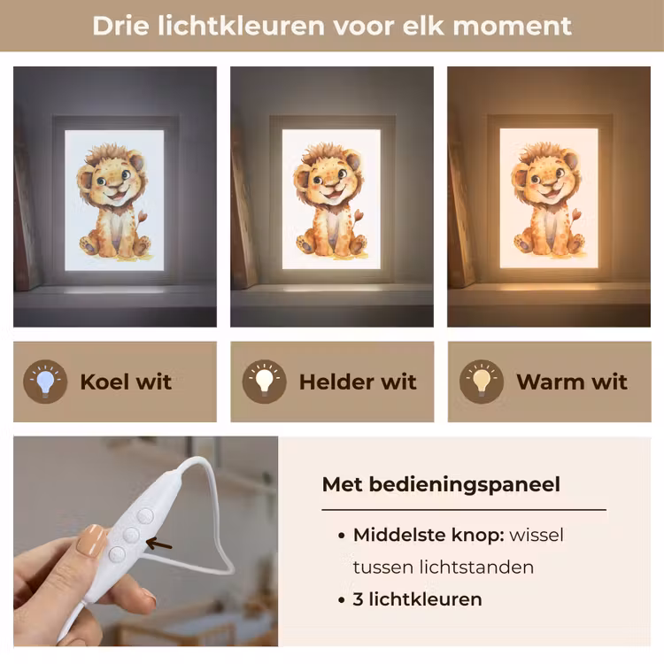 Leeuw - Baby dier Light Box met kabel klein -USP_lichtkleurNL