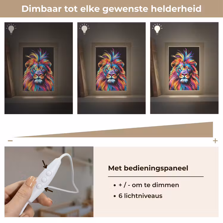 Leeuwen - Kleurrijk - Zwart - Dieren Light Box met kabel klein -USP_dimbaarNL