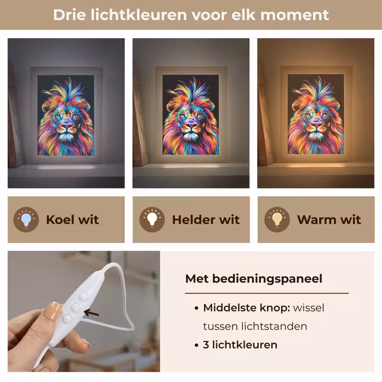 Leeuwen - Kleurrijk - Zwart - Dieren Light Box met kabel klein -USP_lichtkleurNL