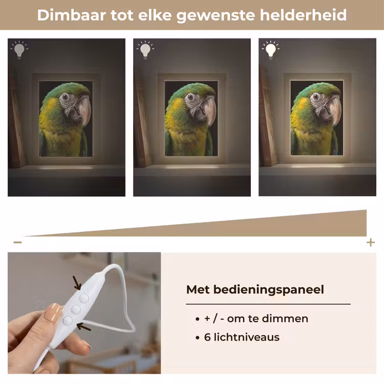 Ara - Portret - Groen Light Box met kabel (Kinderlampje) klein -USP_dimbaarNL