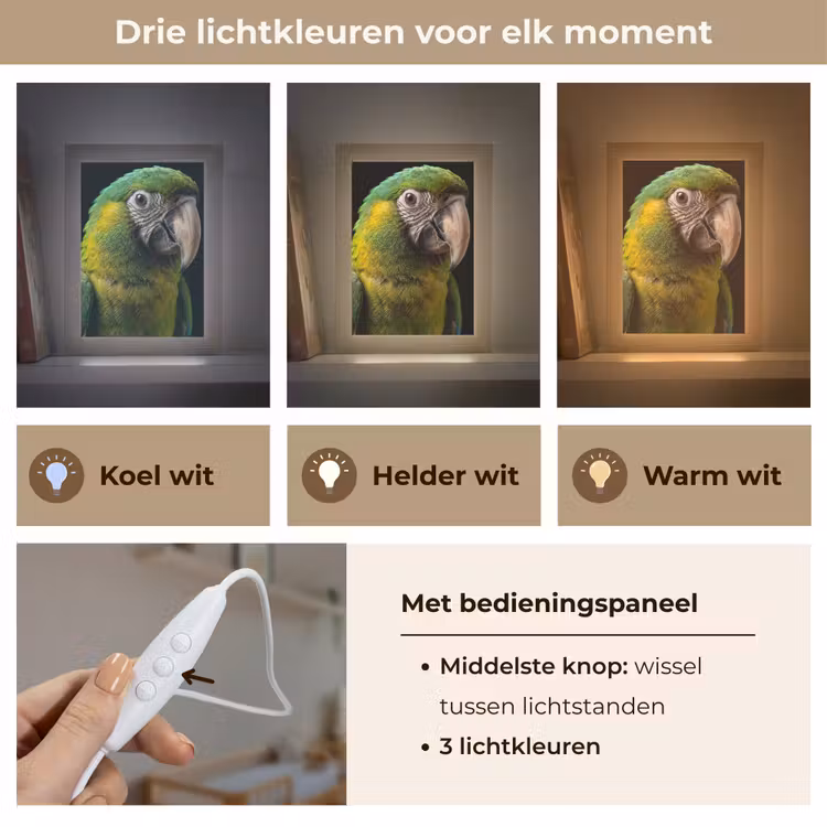 Ara - Portret - Groen Light Box met kabel (Kinderlampje) klein -USP_lichtkleurNL