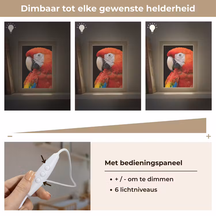 Ara - Portret - Rood Light Box met kabel (Kinderlampje) klein -USP_dimbaarNL