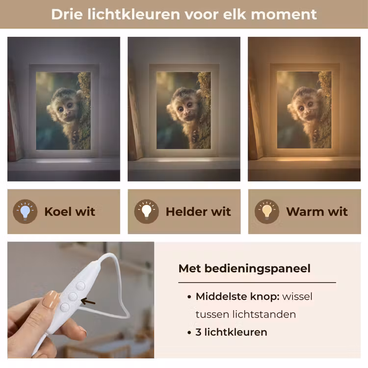 Aap - Boomstronk - Bruin Light Box met kabel klein -USP_lichtkleurNL