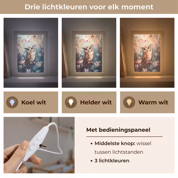 Uil - Bos - Bloemen - Vlinders Light Box met kabel klein -USP_lichtkleurNL