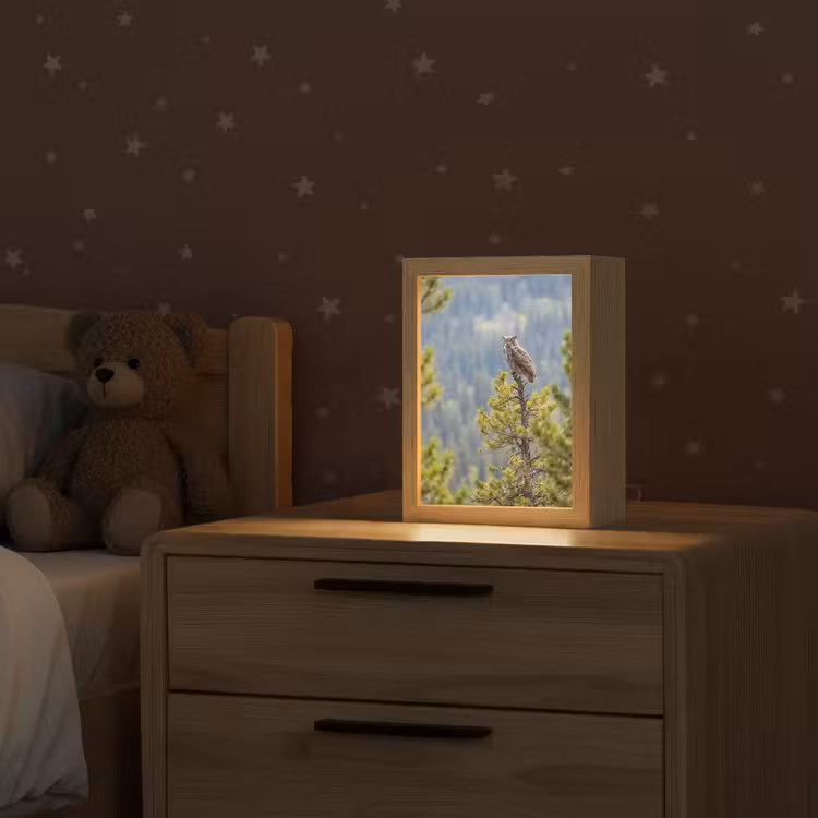 Uil - Oehoe - Bomen - Natuur Light Box met kabel (Kinderlampje) klein -sfeer1_kind