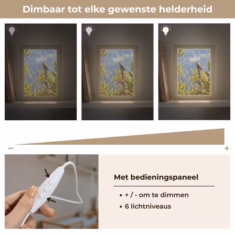 Uil - Oehoe - Bomen - Natuur Light Box met kabel (Kinderlampje) klein -USP_dimbaarNL