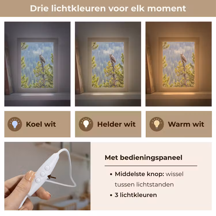 Uil - Oehoe - Bomen - Natuur Light Box met kabel (Kinderlampje) klein -USP_lichtkleurNL