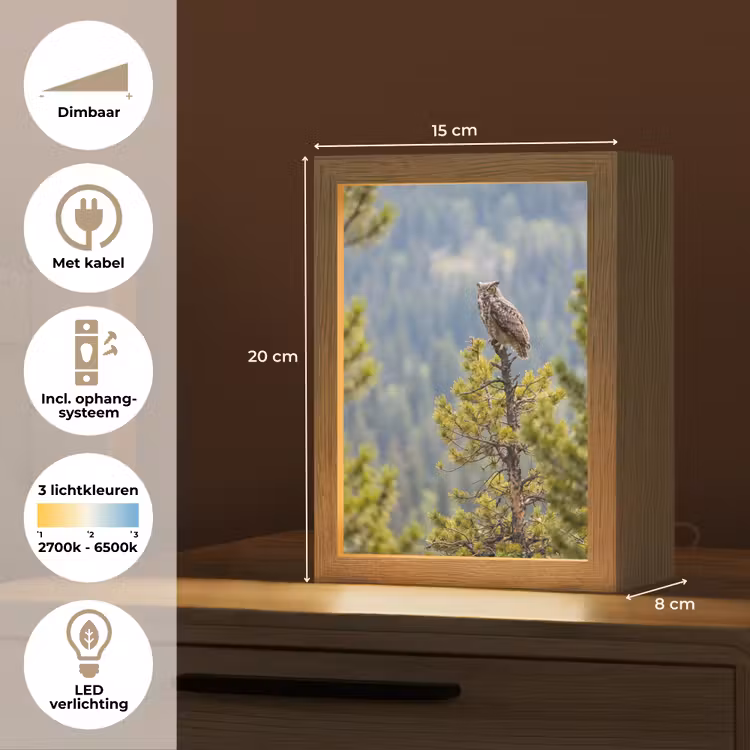 Uil - Oehoe - Bomen - Natuur Light Box met kabel (Kinderlampje) klein -USP_NL