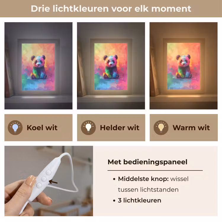 Panda - Dieren - Kleurrijk - Neon Light Box met kabel klein -USP_lichtkleurNL