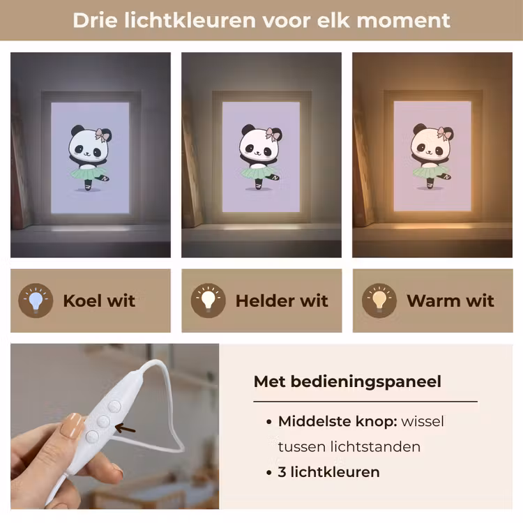 Panda - Paars - Sierlijk - Kawaii Light Box met kabel klein -USP_lichtkleurNL