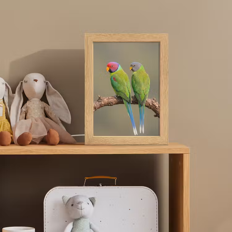 Papagaai - Tak - Natuur - Kleurrijk Light Box met kabel (Kinderlampje) klein -sfeer2_kind