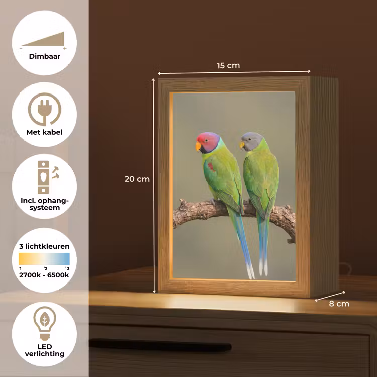 Papagaai - Tak - Natuur - Kleurrijk Light Box met kabel (Kinderlampje) klein -USP_NL
