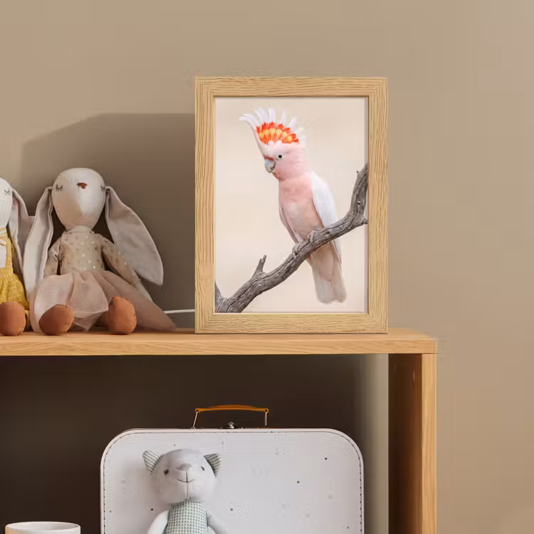 Papagaai - Tak - Roze Light Box met kabel (Kinderlampje) klein -sfeer2_kind
