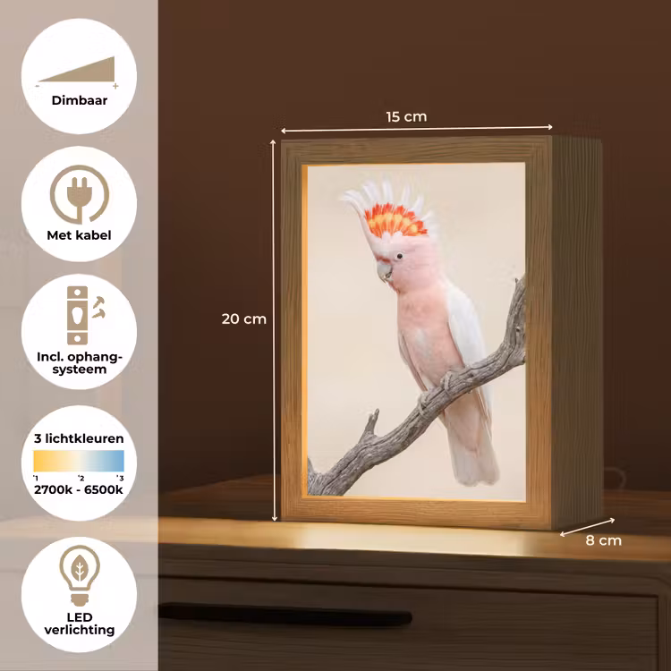 Papagaai - Tak - Roze Light Box met kabel (Kinderlampje) klein -USP_NL