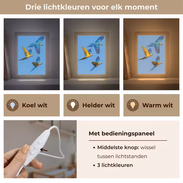 Papagaai - Vliegen - Blauw - Geel Light Box met kabel (Kinderlampje) klein -USP_lichtkleurNL