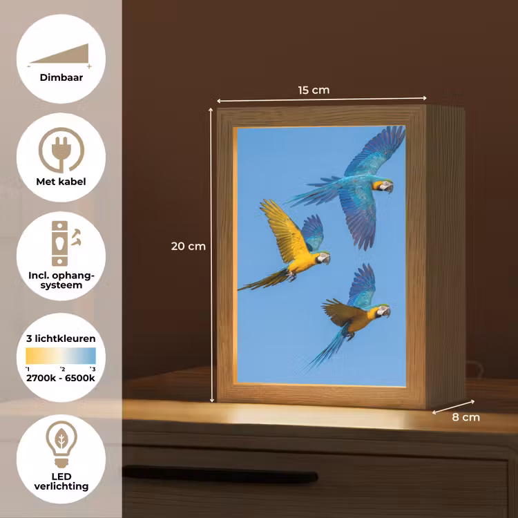 Papagaai - Vliegen - Blauw - Geel Light Box met kabel (Kinderlampje) klein -USP_NL