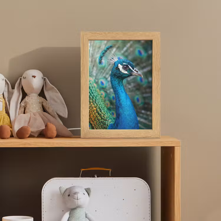 Pauw - Veren - Blauw Light Box met kabel (Kinderlampje) klein -sfeer2_kind