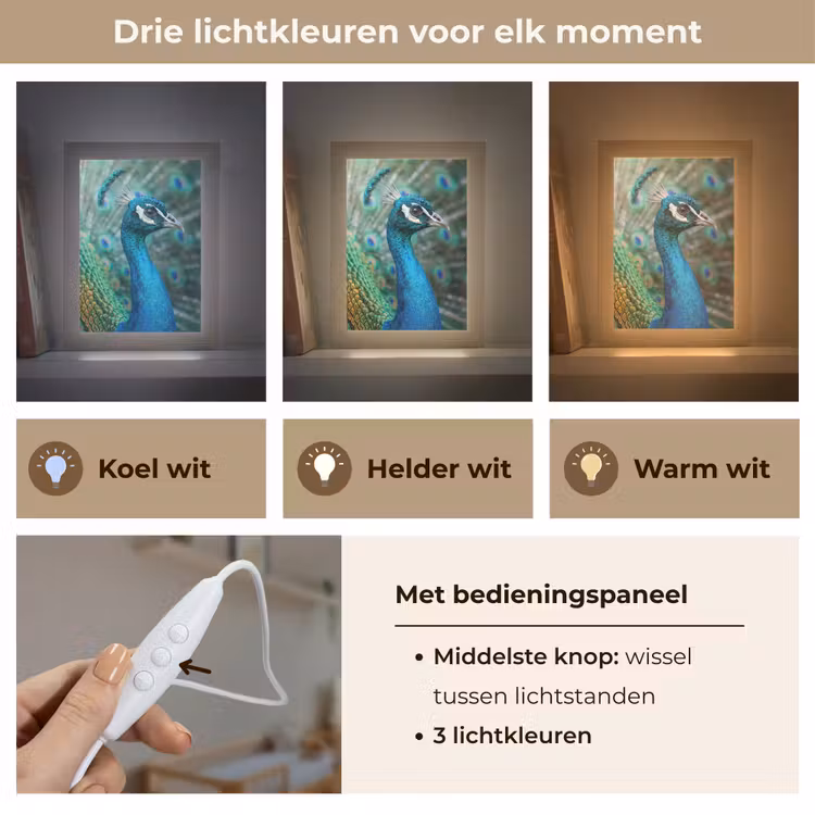 Pauw - Veren - Blauw Light Box met kabel (Kinderlampje) klein -USP_lichtkleurNL