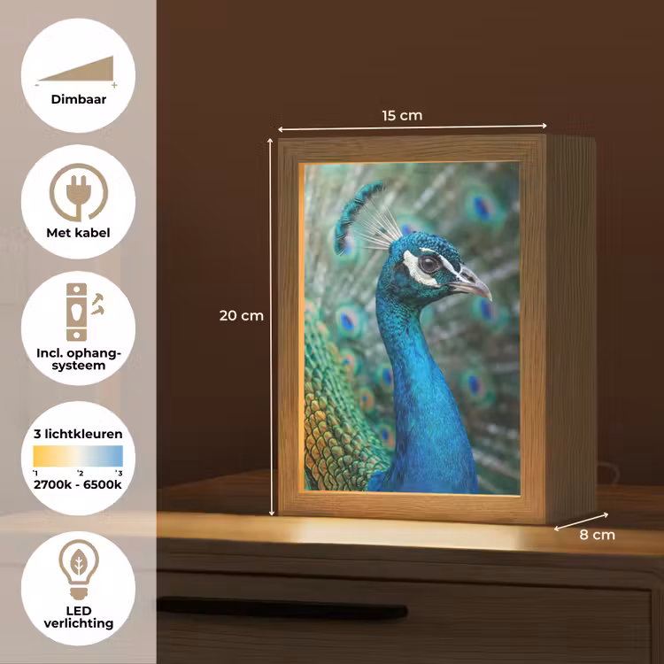 Pauw - Veren - Blauw Light Box met kabel (Kinderlampje) klein -USP_NL