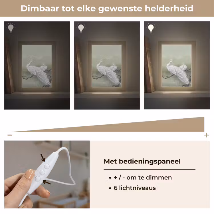 Pauwen - Wit - Natuur - Groen Light Box met kabel (Kinderlampje) klein -USP_dimbaarNL