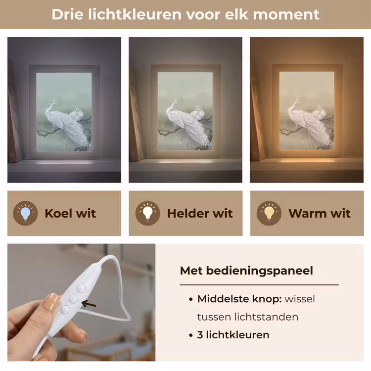 Pauwen - Wit - Natuur - Groen Light Box met kabel (Kinderlampje) klein -USP_lichtkleurNL
