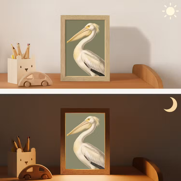 Pelikaan - Wit - Vogel - Klassiek - Natuur Light Box met kabel (Kinderlampje) klein -sfeer3_kind