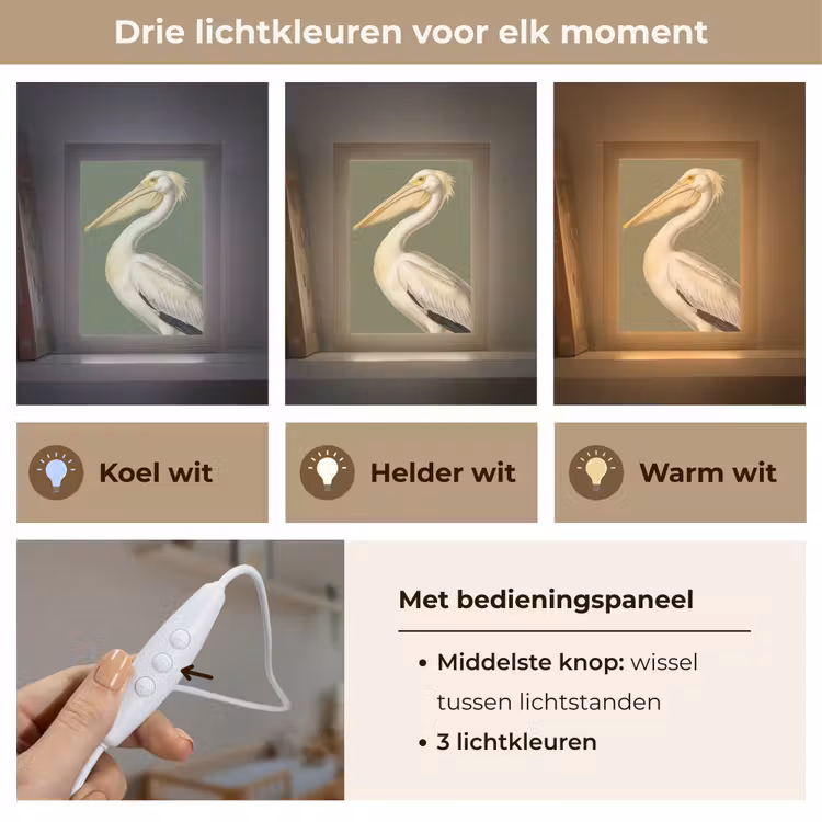 Pelikaan - Wit - Vogel - Klassiek - Natuur Light Box met kabel (Kinderlampje) klein -USP_lichtkleurNL
