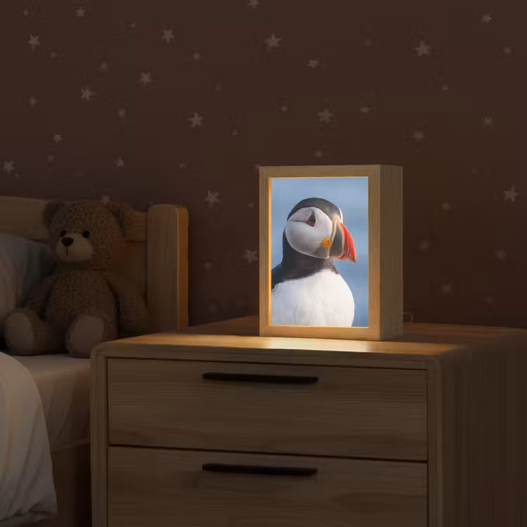 Papegaaiduiker - Portret - Natuur Light Box met kabel (Kinderlampje) klein -sfeer1_kind