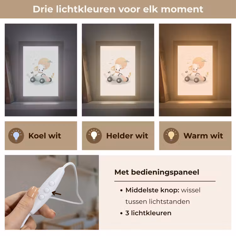 Puppy - Raceauto - Oranje Light Box met kabel klein -USP_lichtkleurNL