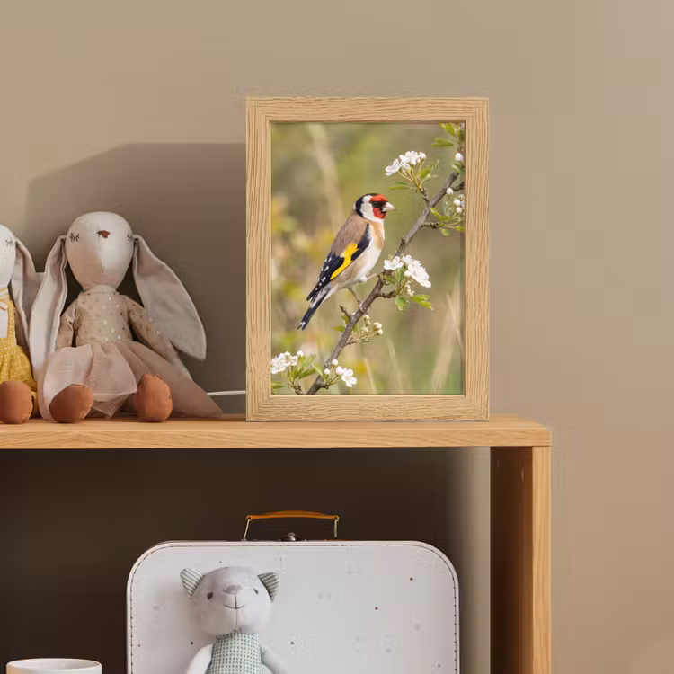 Putter - Bloesem - Lente - Natuur - Kleurrijk Light Box met kabel (Kinderlampje) klein -sfeer2_kind