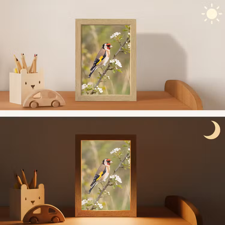 Putter - Bloesem - Lente - Natuur - Kleurrijk Light Box met kabel (Kinderlampje) klein -sfeer3_kind