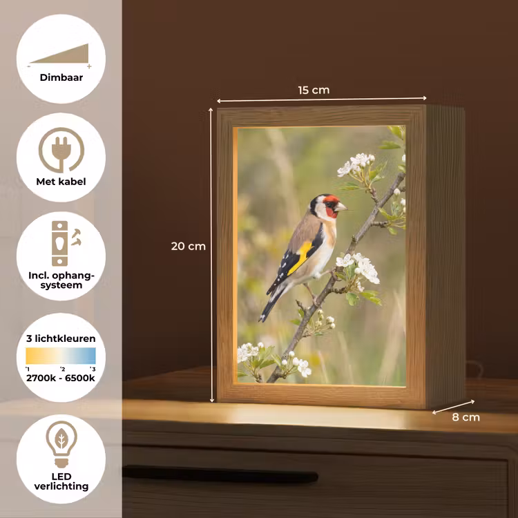 Putter - Bloesem - Lente - Natuur - Kleurrijk Light Box met kabel (Kinderlampje) klein -USP_NL