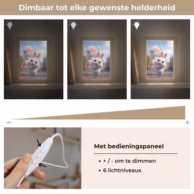 Konijn - Ballonnen - Gekleurd - Confetti Light Box met kabel klein -USP_dimbaarNL