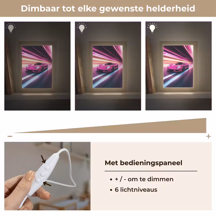 Raceauto - Roze - Neon Light Box met kabel klein -USP_dimbaarNL