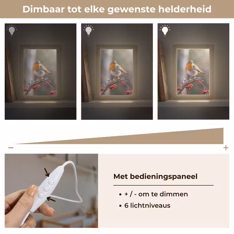 Roodborst - Tak - Bessen - Natuur Light Box met kabel (Kinderlampje) klein -USP_dimbaarNL