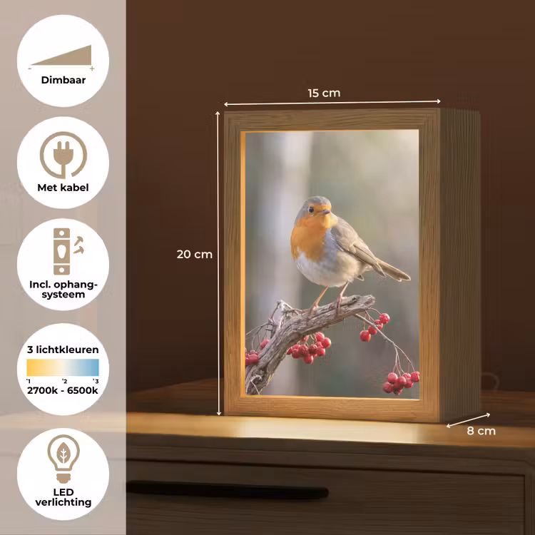 Roodborst - Tak - Bessen - Natuur Light Box met kabel (Kinderlampje) klein -USP_NL