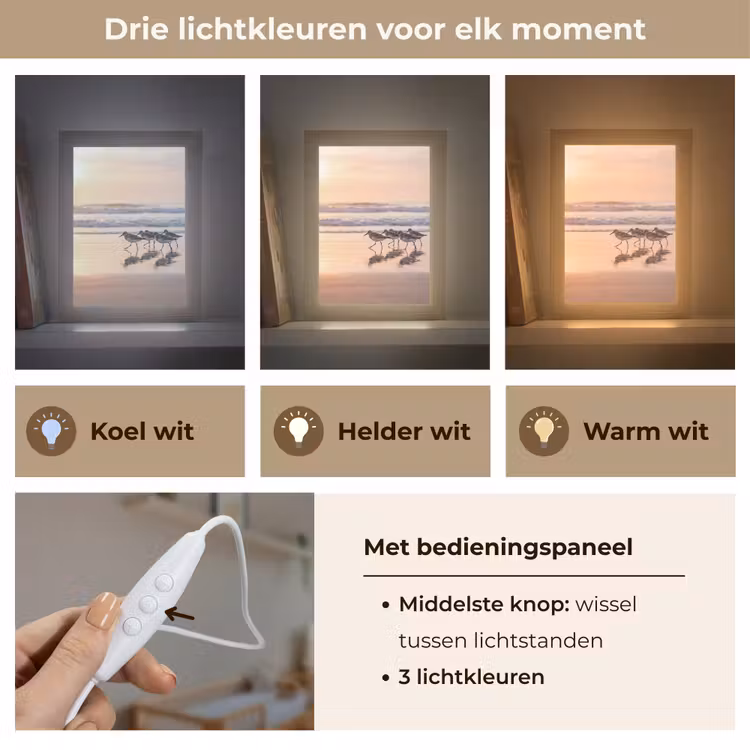 Zee - Vogels - Strand Light Box met kabel (Kinderlampje) klein -USP_lichtkleurNL