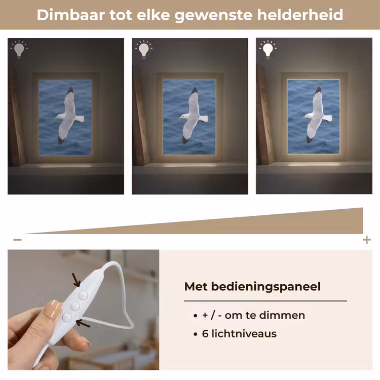 Zeemeeuw - Oceaan - Blauw Light Box met kabel (Kinderlampje) klein -USP_dimbaarNL