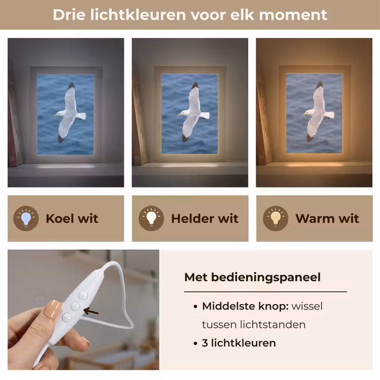 Zeemeeuw - Oceaan - Blauw Light Box met kabel (Kinderlampje) klein -USP_lichtkleurNL