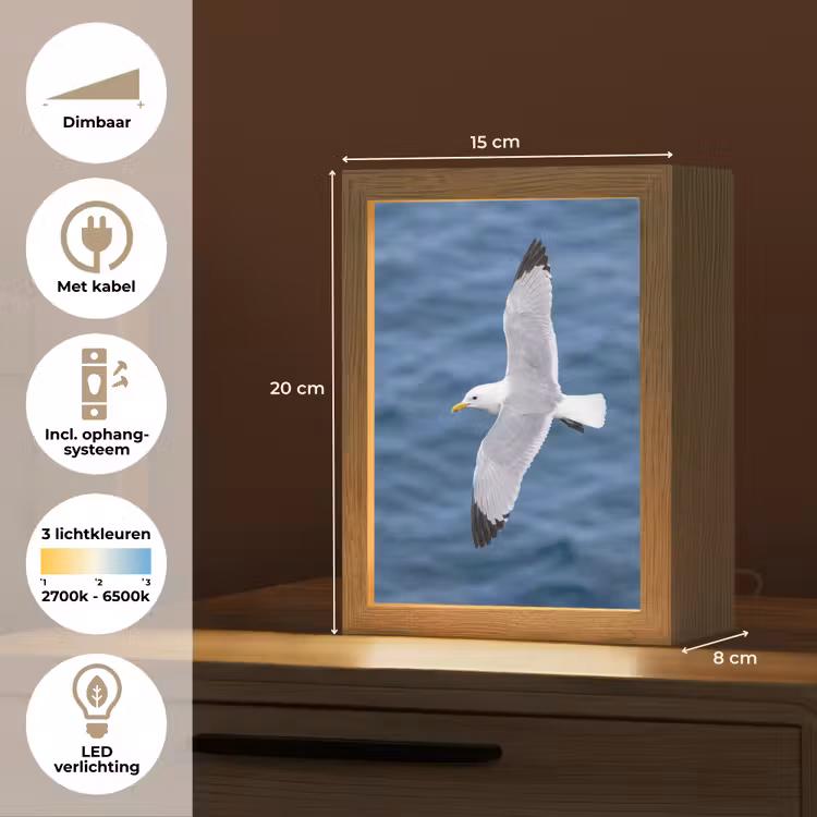 Zeemeeuw - Oceaan - Blauw Light Box met kabel (Kinderlampje) klein -USP_NL