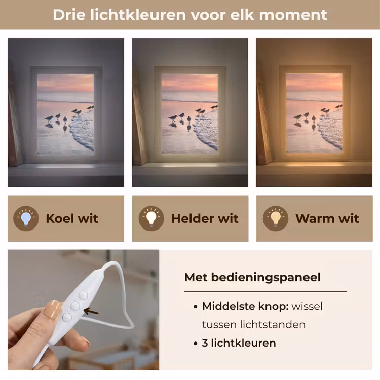 Meeuwen - Strand - Zee - Roze Light Box met kabel (Kinderlampje) klein -USP_lichtkleurNL