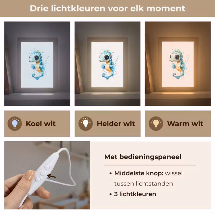 Zeepaardje - Spetters - Blauw Light Box met kabel klein -USP_lichtkleurNL