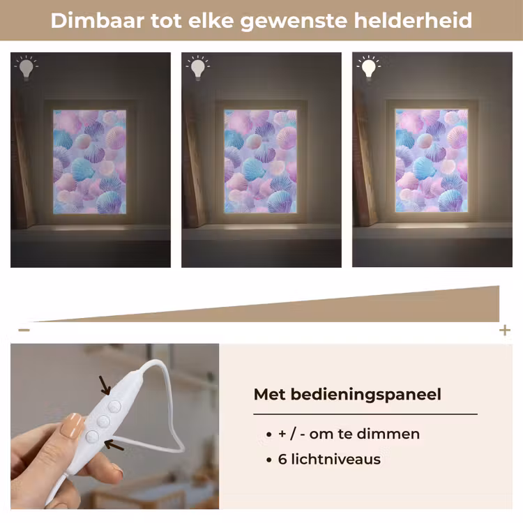 Schelpen - Paars - Blauw - Patroon Light Box met kabel klein -USP_dimbaarNL