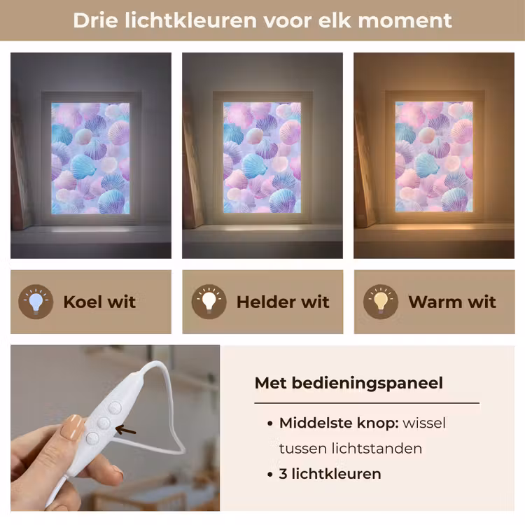 Schelpen - Paars - Blauw - Patroon Light Box met kabel klein -USP_lichtkleurNL