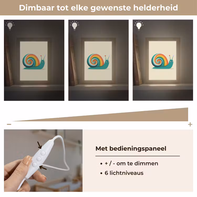 Slak - Regenboogschild - Groen Light Box met kabel klein -USP_dimbaarNL