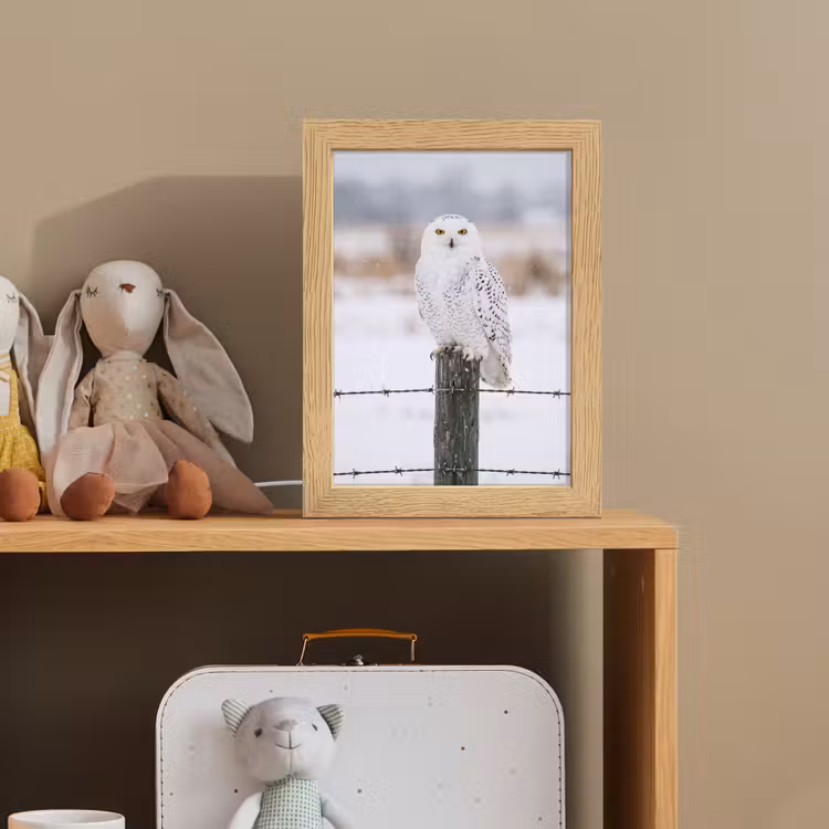 Sneeuwuil - Hek - Sneeuw - Wit Light Box met kabel (Kinderlampje) klein -sfeer2_kind