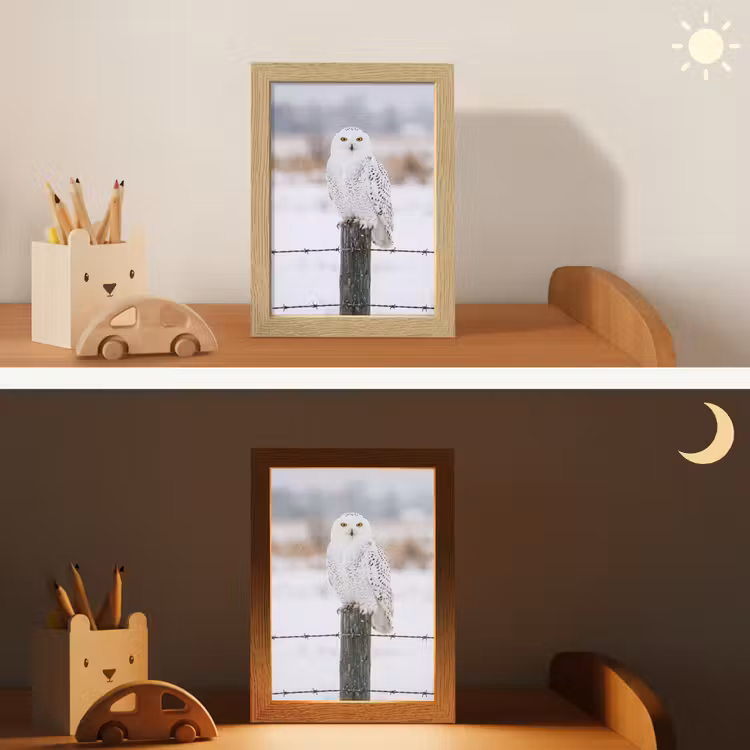 Sneeuwuil - Hek - Sneeuw - Wit Light Box met kabel (Kinderlampje) klein -sfeer3_kind