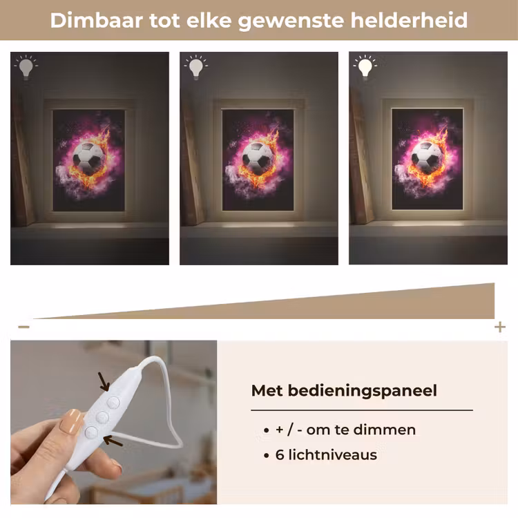 Voetbal - Roze - Vuur Light Box met kabel klein -USP_dimbaarNL